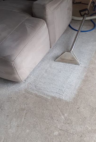 carpet cleaning
