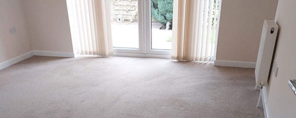 carpet cleaning