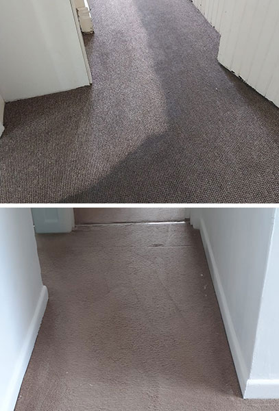 carpet cleaning